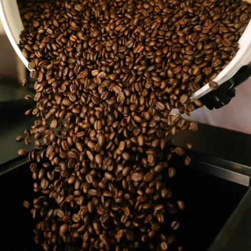 Versgebrande Cristo koffie bulk